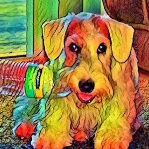 Meet your Posher, Karin